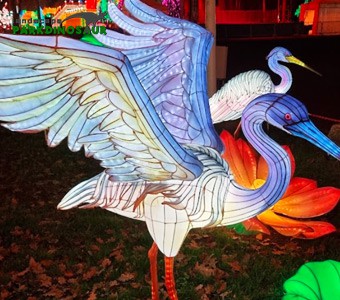 Festival della luce delle lanterne